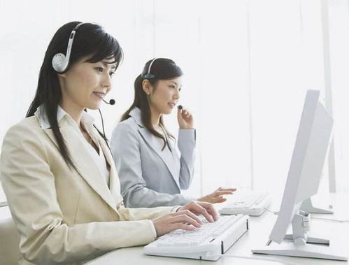 英語專業(yè)畢業(yè)生的黃金賽道 聚焦信息咨詢服務(wù)，開啟無限職業(yè)可能
